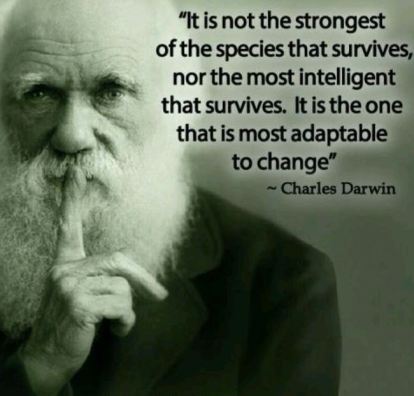 Darwin survivor